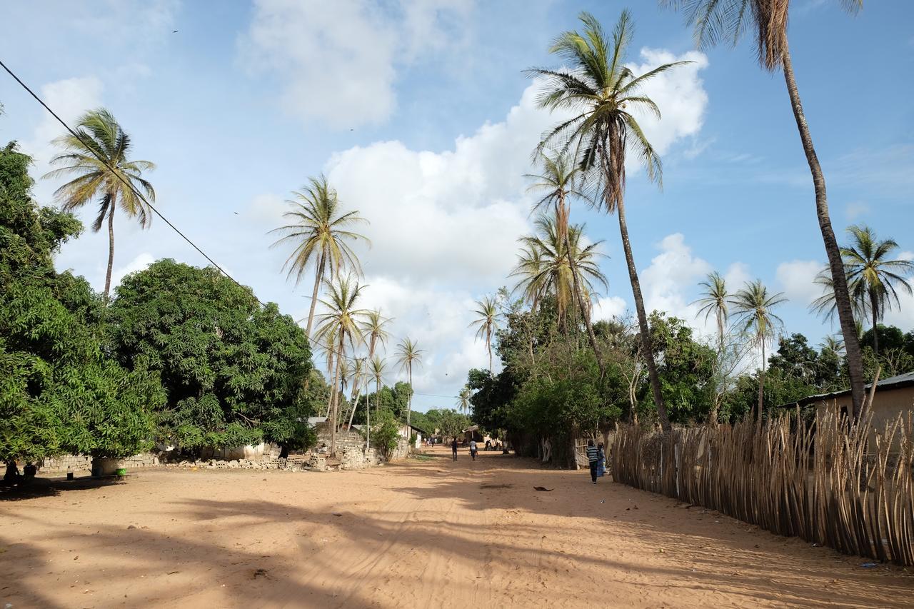 Centre Touristique Et Culturel Casamance Guest House Diakene Ouolof Eksteriør bilde