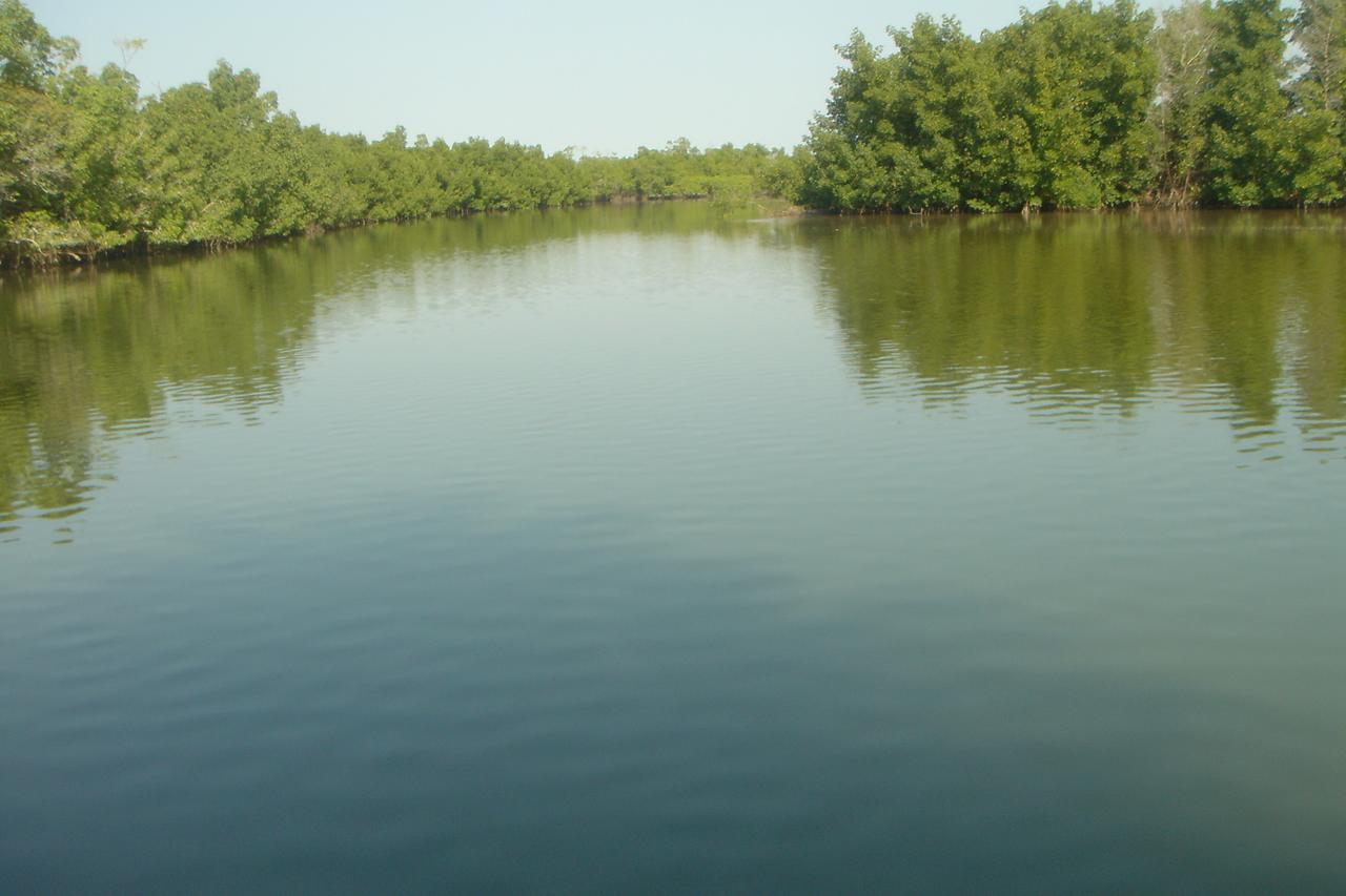 Centre Touristique Et Culturel Casamance Guest House Diakene Ouolof Eksteriør bilde