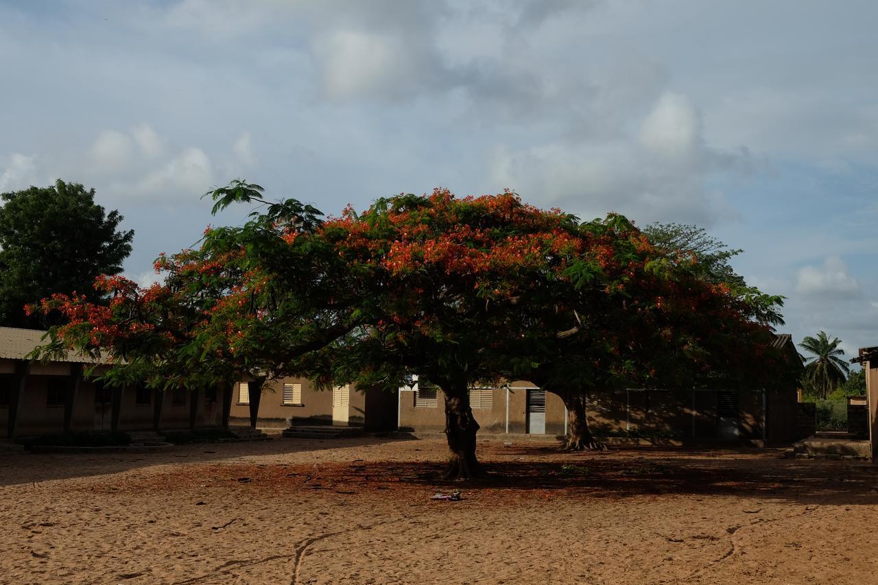 Centre Touristique Et Culturel Casamance Guest House Diakene Ouolof Eksteriør bilde