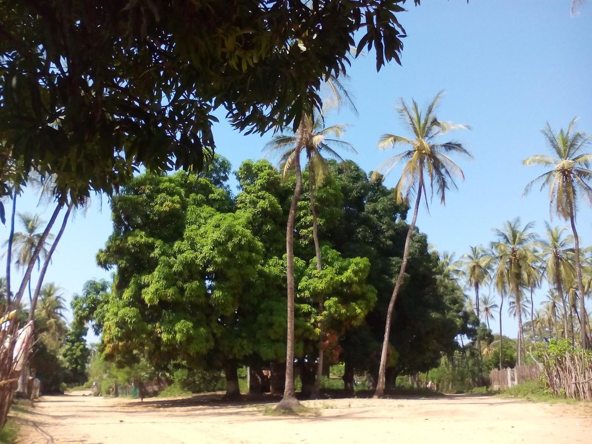 Centre Touristique Et Culturel Casamance Guest House Diakene Ouolof Eksteriør bilde