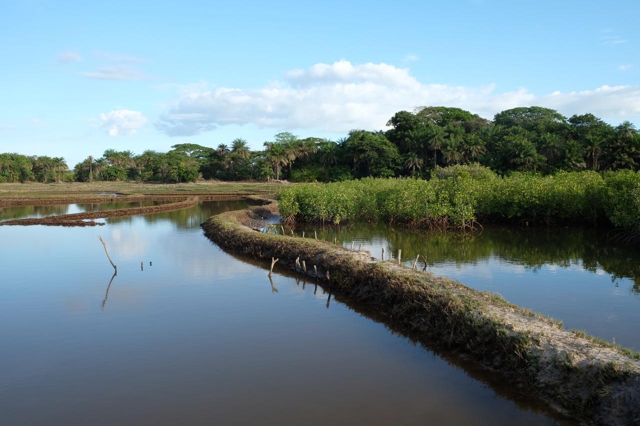 Centre Touristique Et Culturel Casamance Guest House Diakene Ouolof Eksteriør bilde