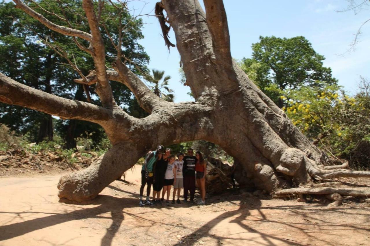 Centre Touristique Et Culturel Casamance Guest House Diakene Ouolof Eksteriør bilde